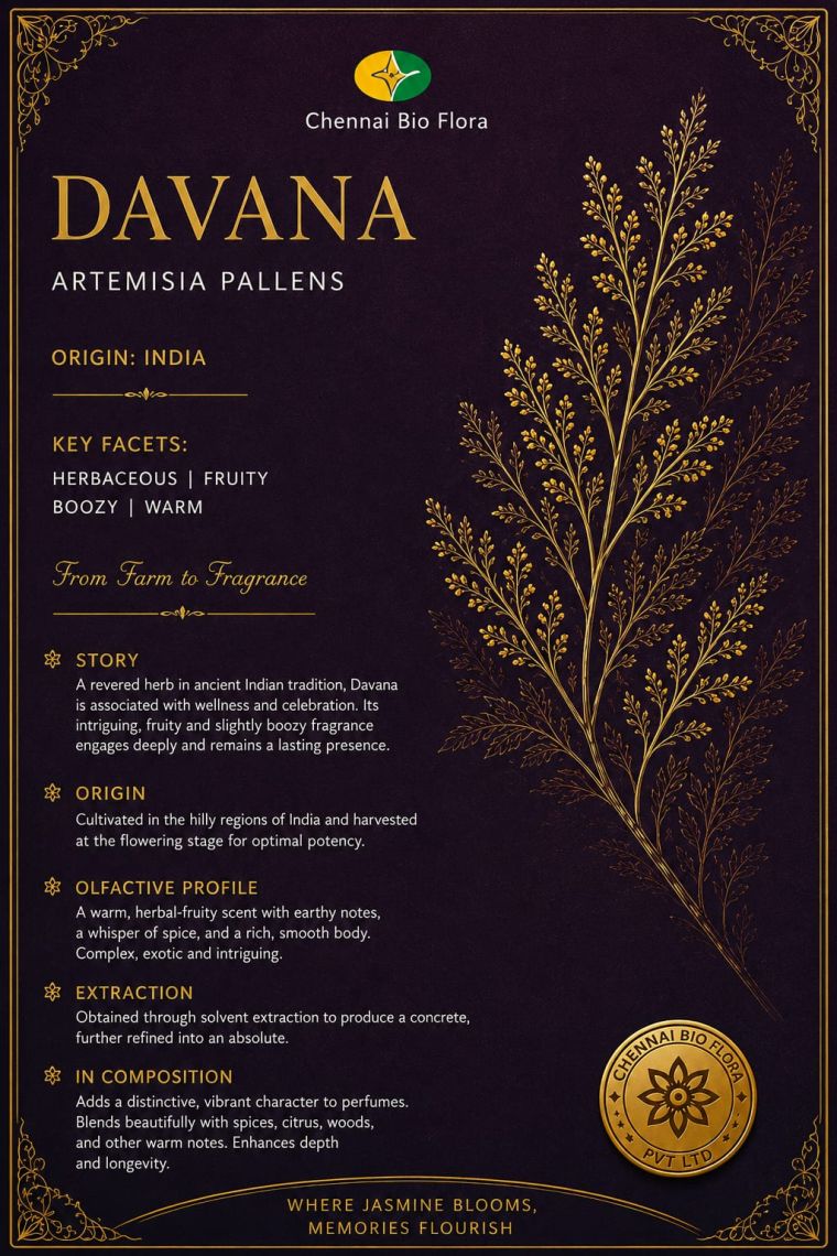 Davana botanical profile