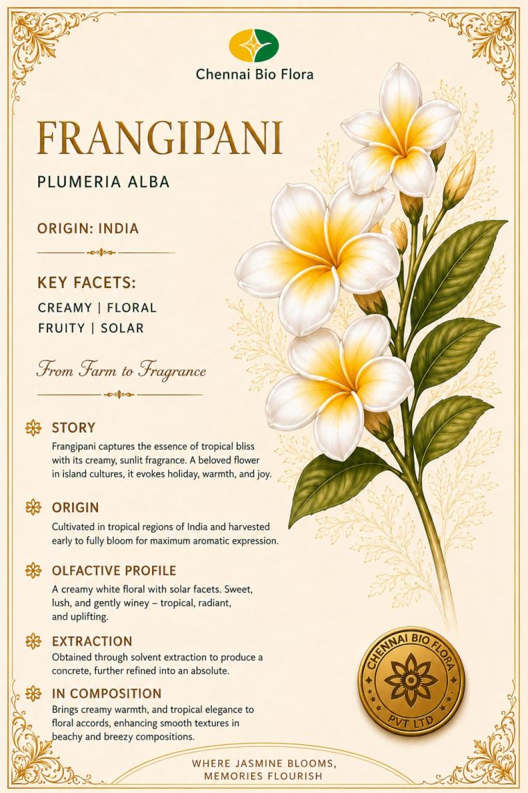 Frangipani botanical profile