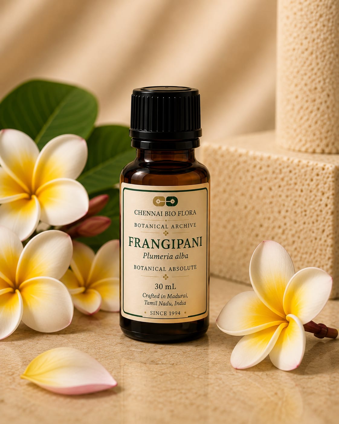 Frangipani