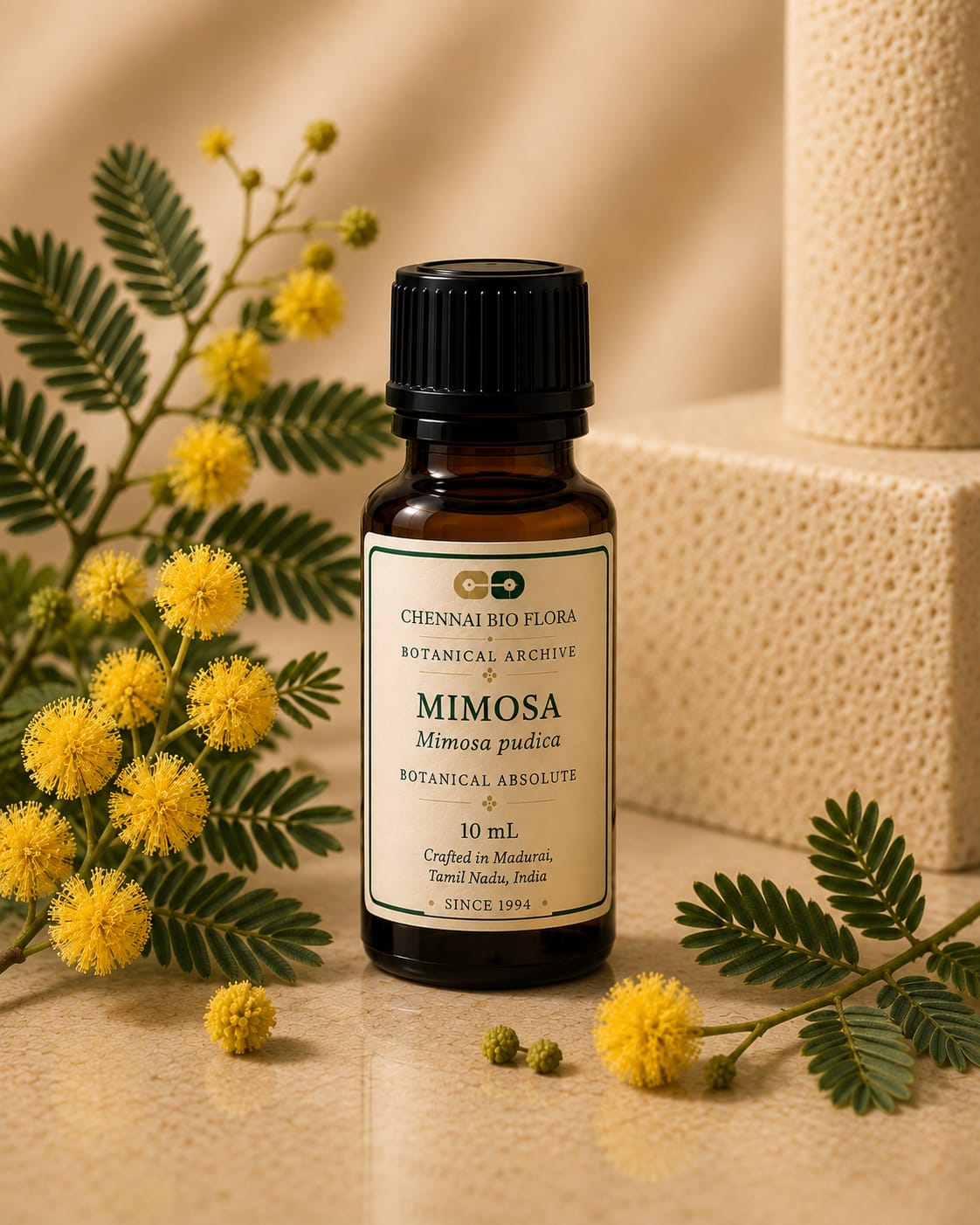 Mimosa