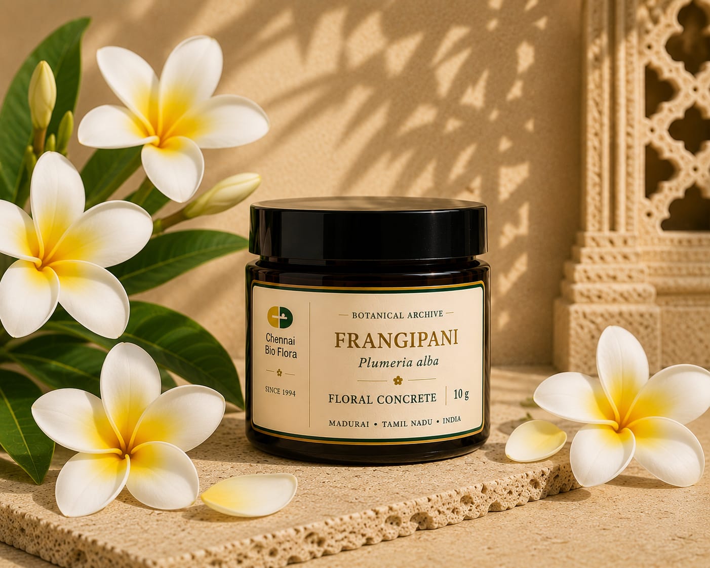 Frangipani