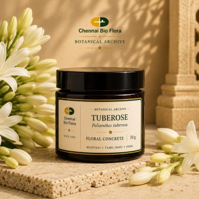 Tuberose