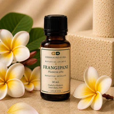 Frangipani