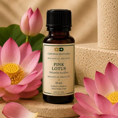 Pink Lotus
