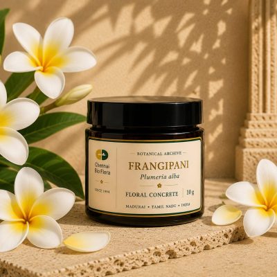 Frangipani
