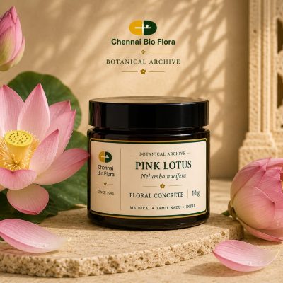 Pink Lotus